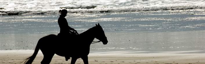 Ashford Equestrian Centre, Horse Riding, location of Ashford Equestrian Centre with map in